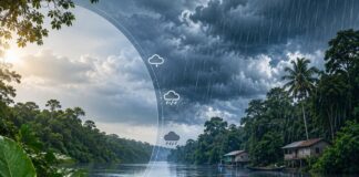 Junho marca transição climática no AM com chuvas intercaladas em algumas áreas