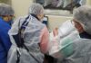Força-tarefa inspeciona serviços de reprodução assistida e orienta pacientes em Manaus