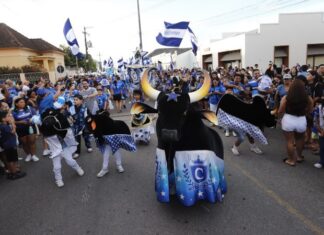 Caprichoso celebra 40 anos da Tarde Alegre Infantil com sucesso do Boizinho de Rua