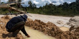 Garimpo e seca são principais problemas do Amazonas, aponta relatório