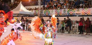 Bois Mirins encantam público e encerram festividades folclóricas de Parintins