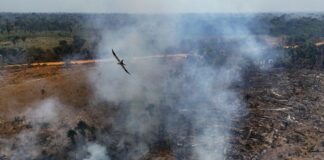 Queimadas na Amazônia caem em 2025 e atingem menor nível desde 1985
