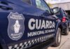 Guarda Municipal apreende motocicleta adulterada e resgata animais silvestres
