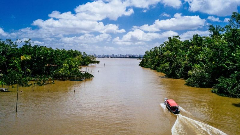 amazonia