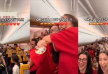 Piloto anuncia vitória da Espanha durante voo e passageiros comemoram nas alturas