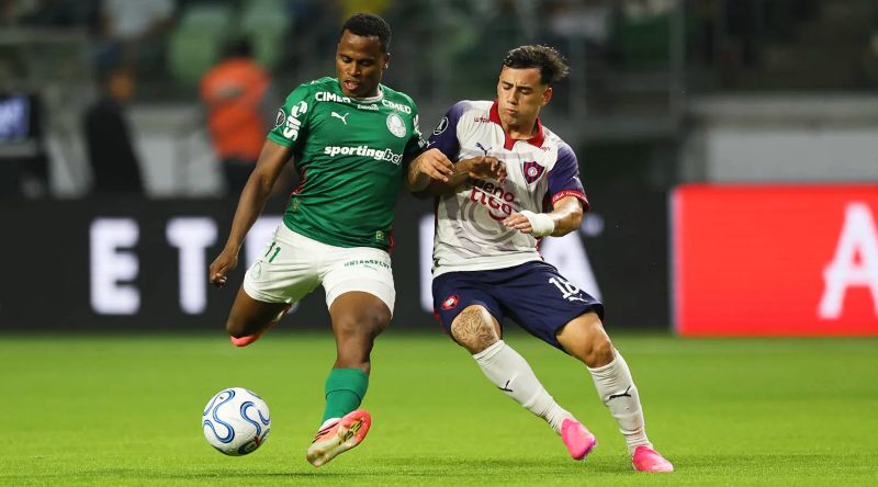 Foto_ Cesar Greco_Palmeiras