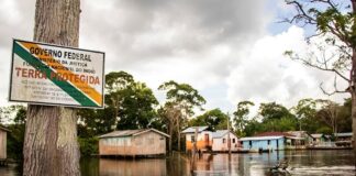 Amazonas concentra maior número de Terras Indígenas sob pressão de desmatamento