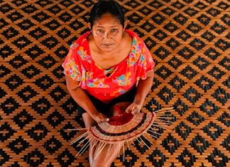 Festival AMÁ conecta saberes amazônicos, inovação e empreendedorismo em Novo Airão