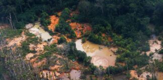 MPF debate contaminação do garimpo ilegal na Amazônia em oficina da ONU