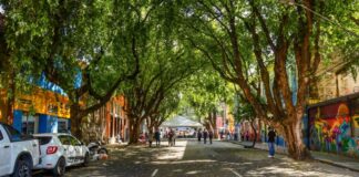 Projeto da ‘Rua Gastronômica’ preservará árvores da Ferreira Pena
