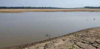 MPAM acompanha ações contra impactos da estiagem em São Gabriel da Cachoeira