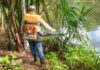 Manaus reforça alerta sobre risco de malária em balneários e locais de criadouros