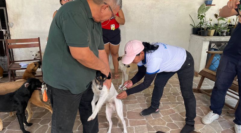 Foto_ Divulgação_Semsa4