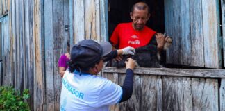 Manaus oferta vacina contra a raiva em 22 postos fixos e clínicas parceiras