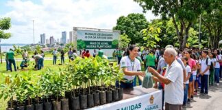 Manaus promove doação de mudas no Dia da Árvore e destaca avanço da arborização