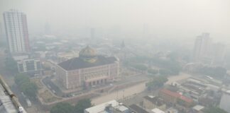 FUMAÇA EM MANAUS: Hapvida alerta para problemas de saúde respiratória e os cuidados redobrados