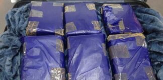 Mulher é presa no Aeroporto Eduardo Gomes com 12 kg de skunk em mala