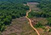 Ipaam aplica R$ 8,5 milhões em multas e embarga 916 hectares no Amazonas