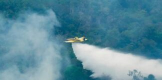 Mais de 1 milhão de litros de água são lançados contra incêndios florestais no AM