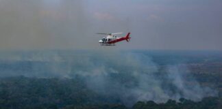 Ibama aplica R$ 2 milhões em multas durante fiscalização contra incêndios florestais no AM