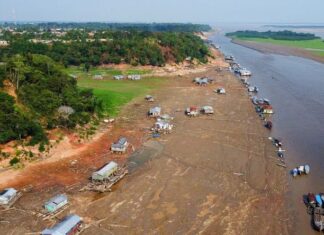 Estiagem coloca 46 municípios do Amazonas em emergência