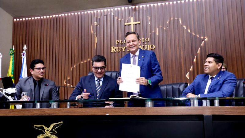 plenario